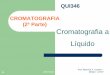 QUI346 CROMATOGRAFIA (2ª Parte) Cromatografia a Líquidoprofessor.ufop.br/sites/default/files/mcoutrim/files/qui346... · MECANISMOS CROMATOGRÁFICOS 28/07/2016 Prof. Mauricio X