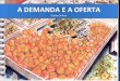 A DEMANDA E A OFERTA - Administra Brasil Cursos · um único comprador. Exemplo: Uma grande cooperativa de ... depende de diversas variáveis que influenciam a escolha do consumidor