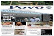 ANO XIII Fundado em 17 de abril de 1999 Cubatão, 2 a 8 de ... · Beneficente do Brasil ... Página 3 Prefeito interino abre diálogo com servidores municipais Página 8 ... cubatense