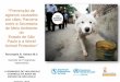 Prevenção de agravos causados por cães: Parceria entre ... · vacinal, manejo pop. ... Piedade - Diretora técnica do Centro de Manejo de fauna doméstica da Secretaria de Estado