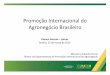Promoção Internacional do Agronegócio Brasileiro · Brasília, 25 de março de 2013 Marcelo Junqueira Ferraz ... – Plano Nacional da Cultura Exportadora (MDIC) – Superintendências