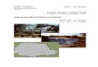 USINA HIDRELÉTRICA PITANGUÍ - copel.com · águas do rio Pitangui, sendo duas a montante da PCH Pitangui e uma a jusante, mostradas na Tabela 1. Este delineamento amostral teve