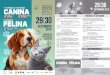 Flyer Programa Canina Felina 2018 - expocaninaefelinaaveiro.pt · Zona Comercial Tasquinhas/Gastronomia e Doçaria da Região de Aveiro Exposição de Artesanato Regional ... Preço