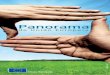 Panorama da União Europeia - europedirect.aigmadeira.comeuropedirect.aigmadeira.com/cms/wp-content/uploads/2013/04/... · Os cidadãos europeus podem viver, trabalhar, estudar e