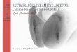 1. Projeto Laminados - rcodontologiaestetica.com.br · Curso avançado para especialistas e clínicos que buscam a excelência no tratamento estético indireto com cerâmicas odontológicas,