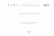 TIAGO DOS SANTOS BUENO - sistemas.eel.usp.brsistemas.eel.usp.br/bibliotecas/monografias/2014/MEQ14029.pdf · 1 TIAGO DOS SANTOS BUENO Estudo do processo de mistura do composto de