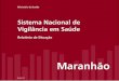 Sistema Nacional de Vigilância em Saúdebvsms.saude.gov.br/bvs/publicacoes/ma1.pdf · jaú, Imperatriz, Lago da Pedra, Paço do Lu-miar, Pinheiro, ... • No Maranhão, 31 municípios