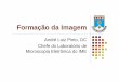 Formação da Imagem - CBPFemecbpf/BasicoImg_Pinto.pdf · Formação da Imagem André Luiz Pinto, DC Chefe do Laboratório de Microscopia Eletrônica do IME