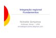 Integração regional Fundamentos - UFRJ · Integração regional Fundamentos Reinaldo Gonçalves Professor titular –UFRJ reinaldogoncalves1@gmail.com