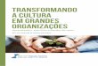 Transformando a Cultura em Grandes Organizações · Eles trabalharam proativamente com a sua cultura organizacional a partir de 2000, liderada por um Gerente de Cultura de tempo