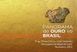 conhecer a situação da mineração de ouro no Brasil ...semopbh.com.br/uploads/pdf/2013 Panorama Ouro.pdf · Estima-se que no mundo foram produzidas, até o presente, 140.000t de