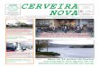 CN 838 - 05 Abr 08 - Cerveira Nova · 2016-10-08 · de Vila Nova de Cerveira, aos quais atribuem o valor global ... posse e defesa da propriedade, na convicção de ... distrito