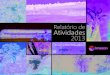Relatório de Atividades 2013 - imazon.org.brimazon.org.br/PDFimazon/Portugues/relatorio de atividades/Relatorio... · que esse repique não ganhe for-ça, é preciso criar, implantar