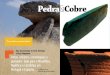Pedra e Cobre. Neolitico e Calcolitico em Portugal e Espanhatipografos.net/ebooks/PedraeCobre-50.pdf · Visita organizada em Siega Verde Pro&urar CTRi Pedra & Cobre / Prólogo Temas