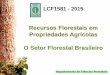 Recursos Florestais em Propriedades Agrícolas O Setor ...esalqlastrop.com.br/img/aulas/Aula 7 - LCF1581_15_Silv01.pdf · Destinada a consumidores de lenha para energia, produção