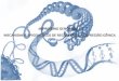 IMPRINTING GENÔMICO E MECANISMOS EPIGENÉTICOS DE … · Há genes somáticos que também apresentam um padrão imprintadode expressão Imprintinggenômico: mecanismo de regulação