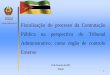 REPÚBLICA DE Fiscalização do processo da Contratação ... 230218/Painel ii/APRESENTAÇÃO MEF... · REPÚBLICA DE MOÇAMBIQUE _____ TRIBUNAL ADMINISTRATIVO 1 Maputo 23 de Fevereiro