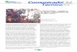 CT 152 - Embrapa .Title: CT 152 Author: gilma Subject: CT 152
