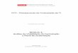 Módulo 2: Análise de Viabilidade da Contratação e Plano de …repositorio.enap.gov.br/bitstream/1/1131/1/Módulo_2.pdf · 2018-08-01 · • Produzir os artefatos Análise de