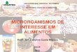 MICRORGANISMOS DE INTERESSE EM ALIMENTOScursos.unipampa.edu.br/cursos/engenhariadealimentos/disciplinas/... · microbiologia de alimentos. Metabolismos dos microrganismos de interesse