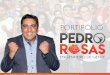 PALESTRANTE PEDRO ROSAS - ENGENHEIRO DE GENTEpedrorosas.com.br/arquivos/palestrante.pdf · área de gestão de segurança do trabalho e de atuar ... PALESTRANTE PEDRO ROSAS ENENHEIRO