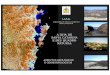 A Ilha de Santa Catarina e Seu Quadro Natural - laam.ufsc.brlaam.ufsc.br/files/2011/05/a-ilha-de-sc-e-seu-quadro-natural.pdf · À medida que os continentes se afastavam, à razão