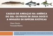 Causas de ameaças na América do Sul: os peixes de água ... Estrutura Invasões biológicas Definições Etapas do processo Determinantes Impactos Situação no mundo e no Brasil
