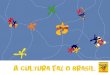 A cultura faz o Brasil 1 - Prêmio Cultura Viva · em civilização sem pensar em cultura. Educação, cultura e cidadania andam juntas, portanto. ... segunda edição (2007) e 120