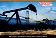 Filtros para a Indústria de Petróleo e Gás em Terra Brochures/Form222P.pdf · No passado, tentamos filtros industriais de outra marca mas eles não ... poderemos ir até você