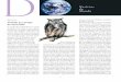 Tirando as corujas da escuridão - Ciência e Culturacienciaecultura.bvs.br/pdf/cic/v69n2/v69n2a08.pdf · quenos mamíferos e aves, mor-cegos, ratos e insetos grandes. Para caçar