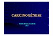 carcinogenese neide kallil - Biblioteca Virtual em Saúde MSbvsms.saude.gov.br/bvs/publicacoes/inca/carcinogenese_neide_kallil.pdf · MECANISMOS MOLECULARES DA CARCINOGÊNESE 