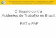O Seguro contra Acidentes de Trabalho no Brasil: RAT e FAP · Índice de Gravidade Índice de Custo Taxa de ... apurado em conformidade com os resultados obtidos a partir dos índices