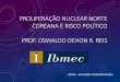 PROLIFERAÇÃO NUCLEAR NORTE COREANA E RISCO …soma.com.br/sia/arquivos/2017/soma/coreia_do_norte_-_nuclear... · OSWALDO DEHON R. REIS IBMEC – RELAÇÕES INTERNACIONAIS . Programa