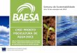 CASE: PROJETO PISCICULTURA DE ÁGUA DOCE - BAESA · de produção, como fertilização do açude com adubo orgânico, arraçoamento, ... • Processamento e filetagem de peixe –