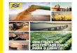 DIRETRIZES DE SUSTENTABILIDADE PARA O CRÉ · PDF files Diretrizes de Sustentabilidade Banco do Brasil para o Crédito – Agronegócio, Agricultura Irrigada, Energia Elé-trica, Construção