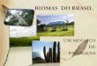 BIOMAS DO BRASIL - files. do...Principais Biomas Os biomas diferem quanto   fisionomia, estrutura,