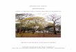 Cartilha de Arborização Urbana - nhandeara.sp.gov.brnhandeara.sp.gov.br/Uploads/Popups/CARTILHA-DE-ARBORIZACAO-URBANA.pdf · As árvores renovam suas folhas fazendo com que caiam
