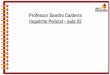 Professor Sandro Caldeira Inqu©rito Policial â€“ aula 02 .Professor Sandro Caldeira Inqu©rito Policial