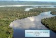 Quadro Lógico Fundo Amazônia 2017 · quadrados, abriga a maior rede hidrográfica do planeta, que escoa cerca de 1/5 do volume de água doce de superfície do mundo. Sessenta por