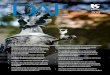 Distribuição gratuita - Revista DAErevistadae.com.br/downloads/edicoes/Revista-DAE-208.pdf · • Desaguamento de lodo de efluente saneante ... do rio São Francisco Detection of