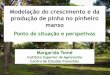 Modelação do crescimento e da produção de pinha no ... · Projetos AGRO 451: Optimização do melhoramento e gestão de povoamentos de pinheiro manso para a produção da pinha