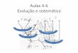 Aulas 4-6 Evolução e sistemática - Anglo Guarulhosangloguarulhos.com.br/wp-content/uploads/2017/07/FRENTE-3-Aulas-4... · Cnidários •Possuem cnidoblastos •Dois folhetos embrionários