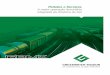 Podutos e Serviços A maior operação ferroviária integrada ...gbmx.com.br/wp-content/uploads/2017/11/AMM_011_Catalogo.pdf · Fabricantes de vagões e truques Universidades e Institutos