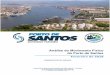 Análise do Movimento Físico do Porto de Santosintranet.portodesantos.com.br/_docs/estatistica/estatistica_123333.pdf · De acordo com dados do Ministério da Indústria, Comércio