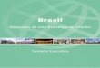 Brasil: Elementos de uma Estratégia de Cidadessiteresources.worldbank.org/INTBRAZIL/Resources/Cidadesbr.pdf · Relatório Nº 35749-BR Brasil Elementos de Uma Estratégia de Cidades