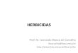 HERBICIDAS - fcav.unesp.br · fo = concentração do herbicida na fase orgânica do solo C ... •Caráter químico (ácido, básico ou não-iônico) •Dissociação (pKa) Mobilidade