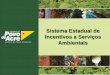 Sistema Estadual de Incentivos a Serviços Ambientais · Programa de Recuperação de Áreas Alteradas Programa do Ativo Florestal ... • 2009 – Proposta de REDD para Acre a partir