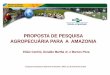 PROPOSTA DE PESQUISA AGROPECUÁRIA PARA A AMAZONIAaeapa.com.br/Doc/palestras_Agroamazonia/25_11_Palestra2.pdf · Captação de Recursos para pesquisa. Agenda de PD&I e de TT na Amazônia