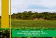 SIMCAR E PROGRAMA DE REGULARIZAÇÃO AMBIENTAL (PRA) · É um conjunto de ações desenvolvidas pelo proprietário rural com o objetivo de promover a regularização ambiental de