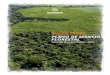 PLANO DE MANEJO FLORESTAL - suzano.com.brºblico-do... · 8 Plano de Manejo Florestal - Unidade Bahia, 2016 - Resumo Público No Brasil, a empresa possui seis unidades industriais: